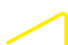 Logo Pro Steel